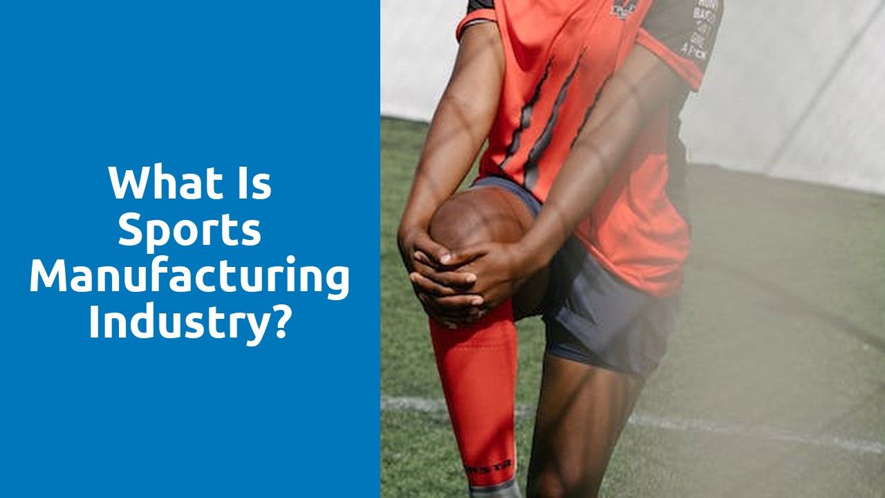 What is sports manufacturing industry?